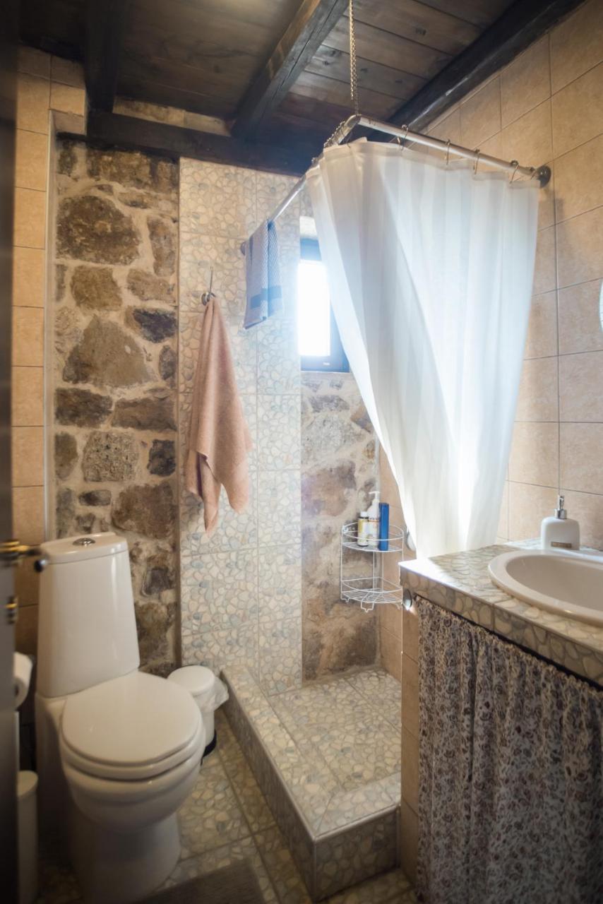 Stone Country house Nea Roda